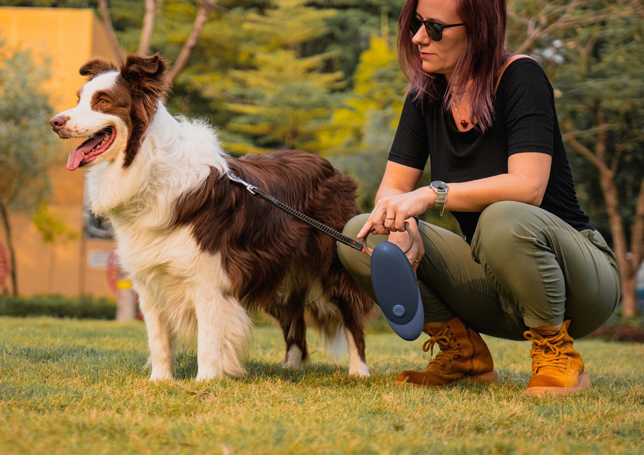 Dog and owner in park